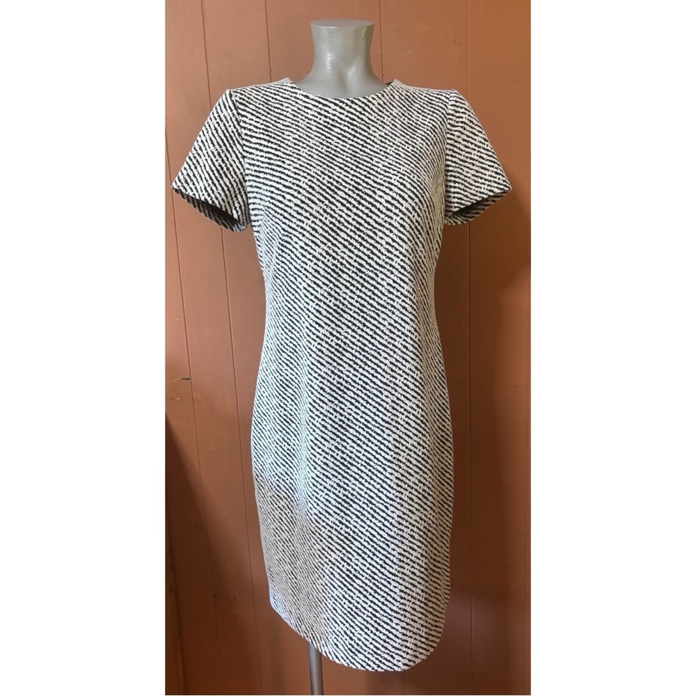Calvin Klein Ponte Short Sheath Dress 6